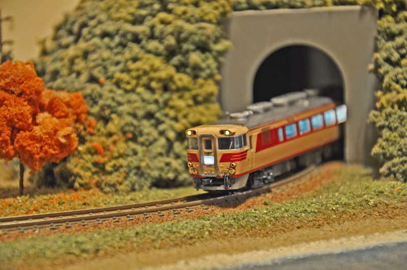 故郷のトンネルと電車